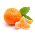 Nanfeng sweet sweet baby mandarin